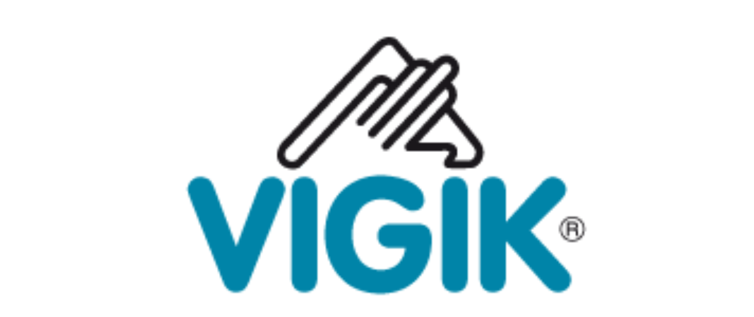 logo partenaire VIGIK